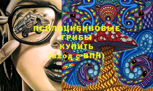 PSILOCYBIN Нефтекумск